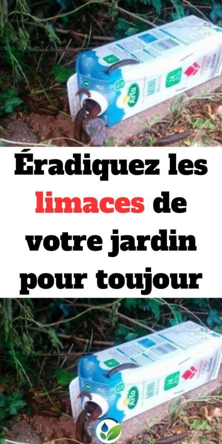 Engrais naturel jardin bio