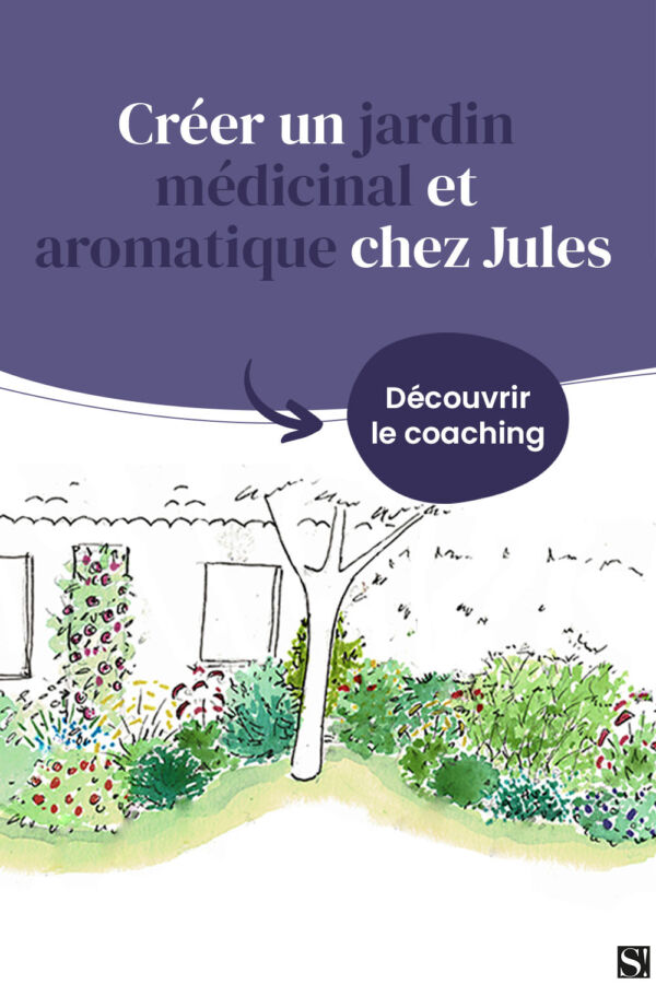 soin plante verte bio