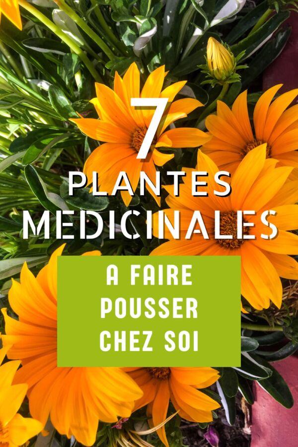 fertilisant naturel jardinage