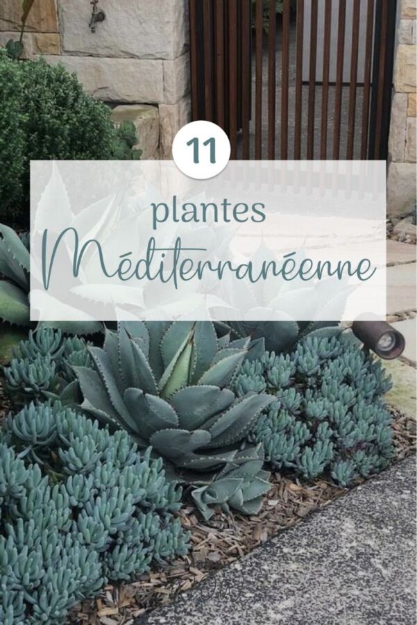 fertilisant naturel jardinage