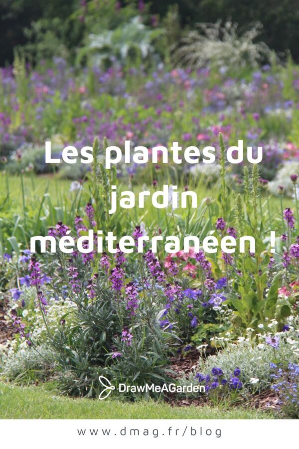 soin plante verte bio