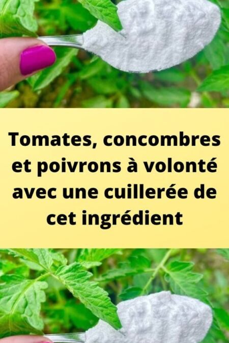 Jardinage bio : astuces pour cultiver sans produits chimiques