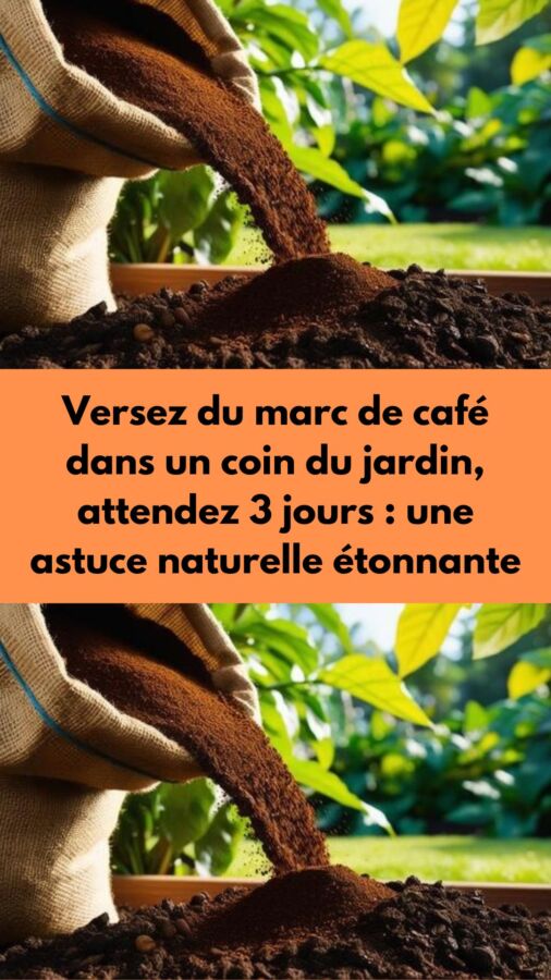 Fertilisant organique citronnier