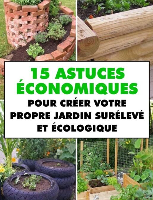 Les meilleures méthodes naturelles pour protéger vos plantes