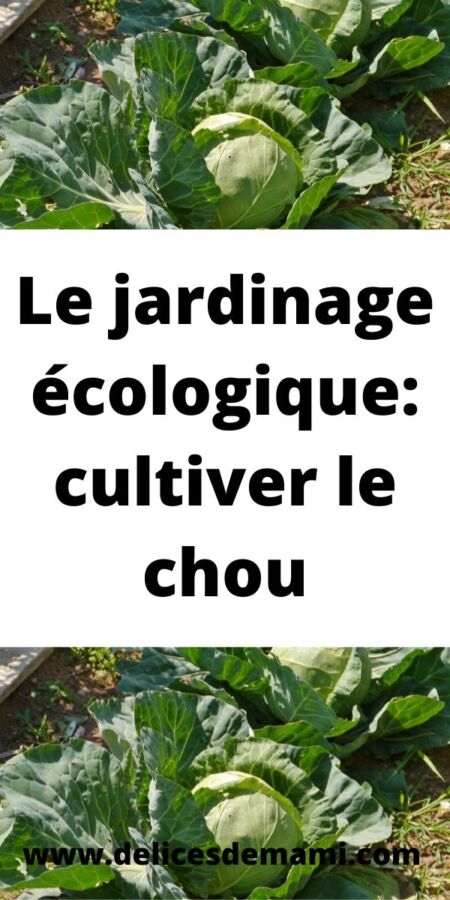 Produit naturel cheveux bouclés