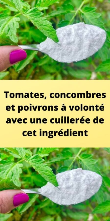 Produit naturel cheveux bouclés