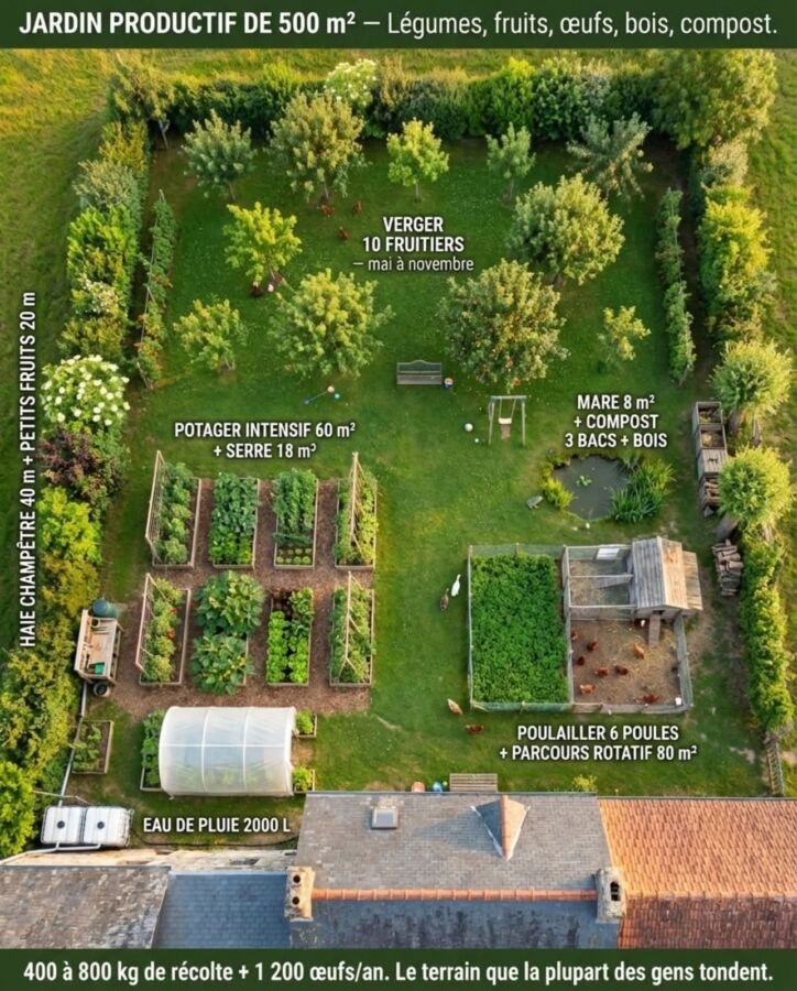 Fertilisant organique pour tomates
