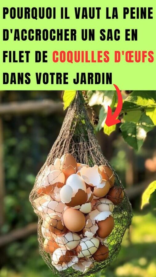Fertilisant organique pour tomates