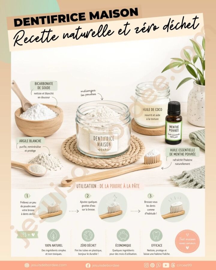 Solution naturelle anti-fourmis
