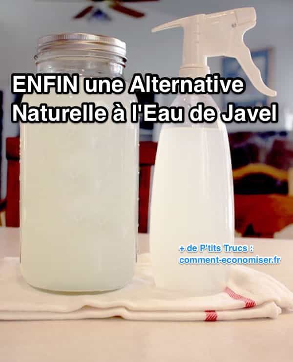Répulsif naturel pour mouches