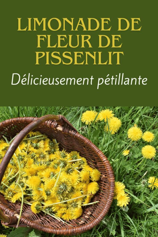 Solution naturelle anti-mouches