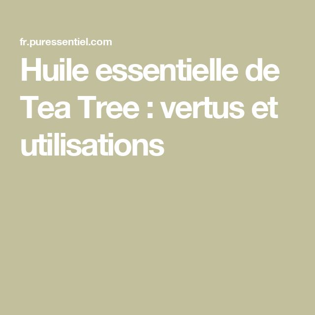 Huile essentielle tea tree danger : ce qu’il faut savoir avant d’en utiliser