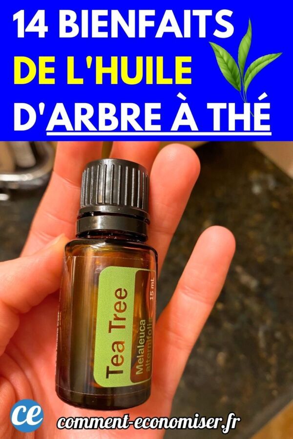 Dangers potentiels tea tree