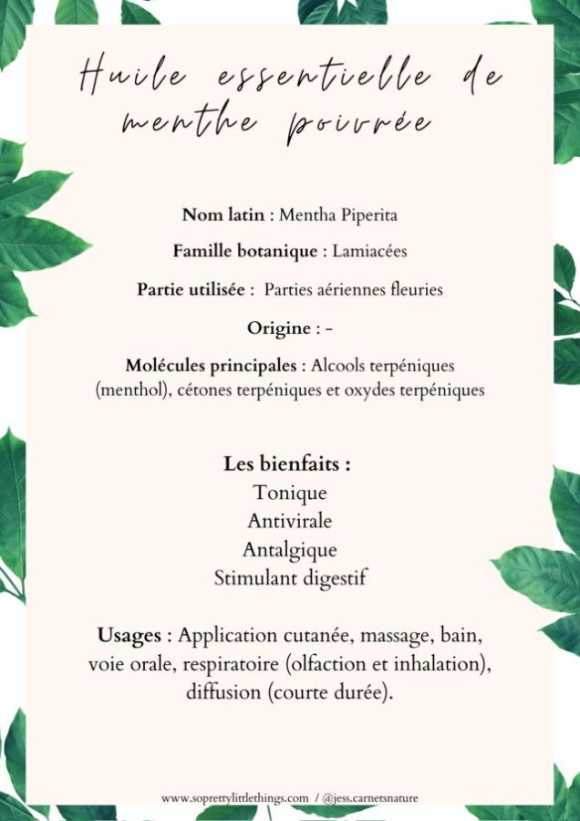 Utilisation sûre huile menthe