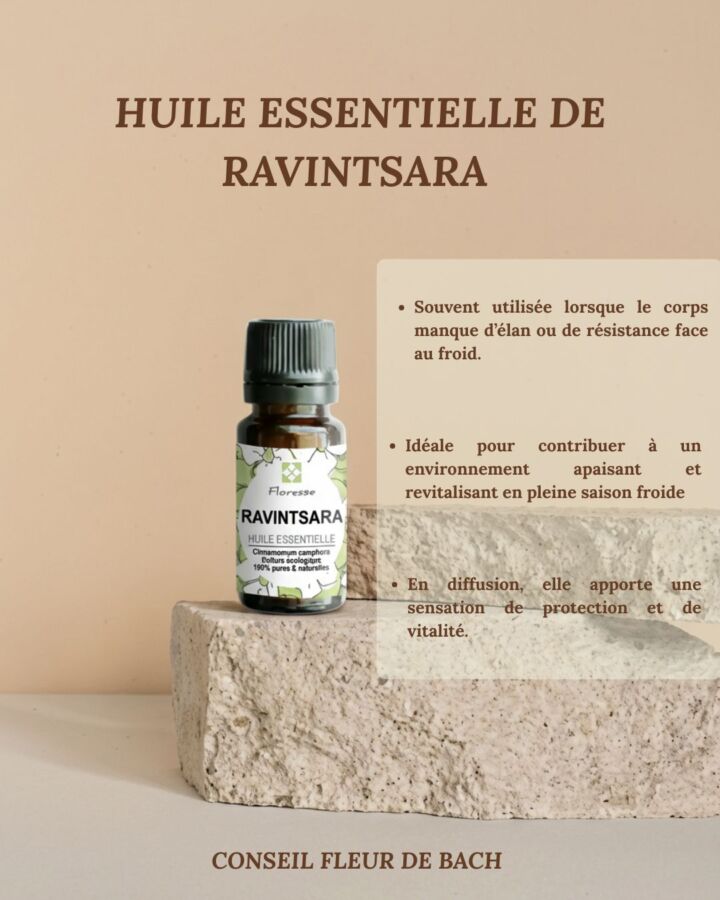 Huile essentielle ravintsara bienfaits : bien l&rsquo;utiliser sans se tromper