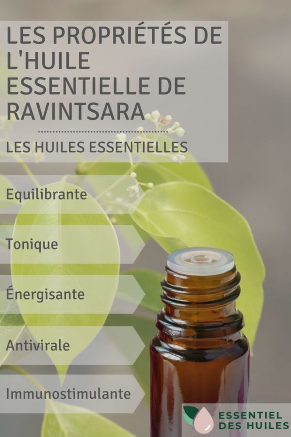 Utilisation huile essentielle ravintsara