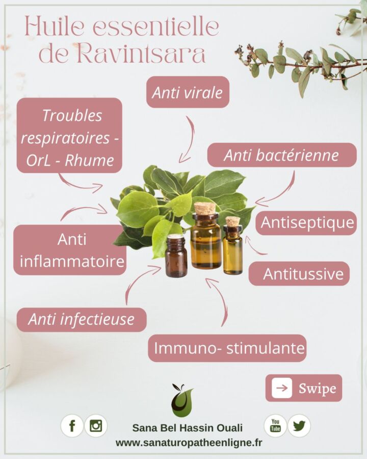 Propriétés huile essentielle ravintsara