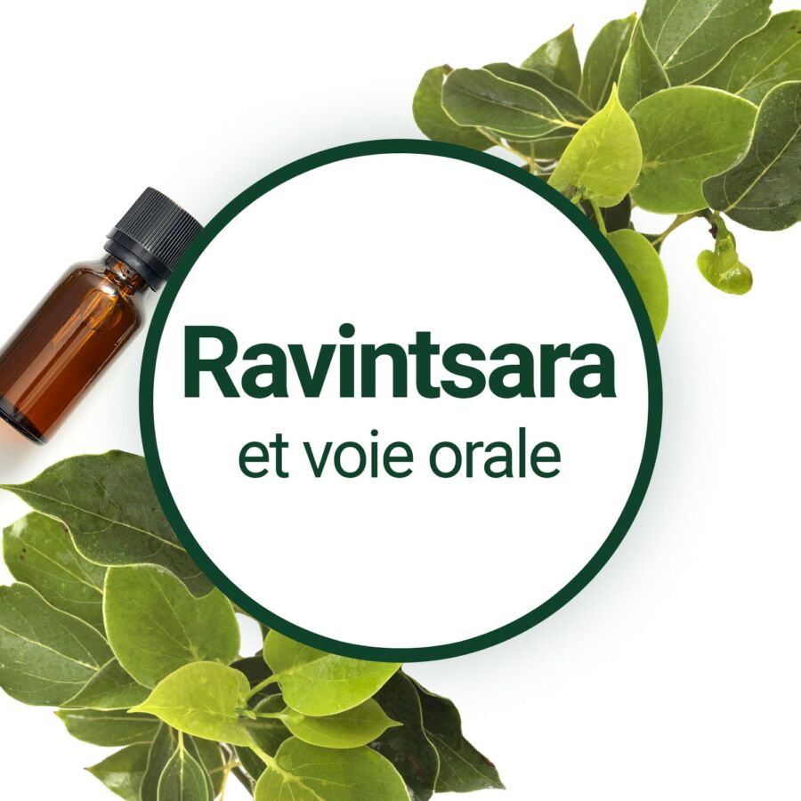 Avantages santé huile ravintsara