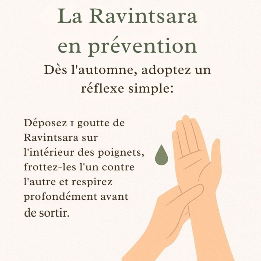 Bienfaits huile ravintsara
