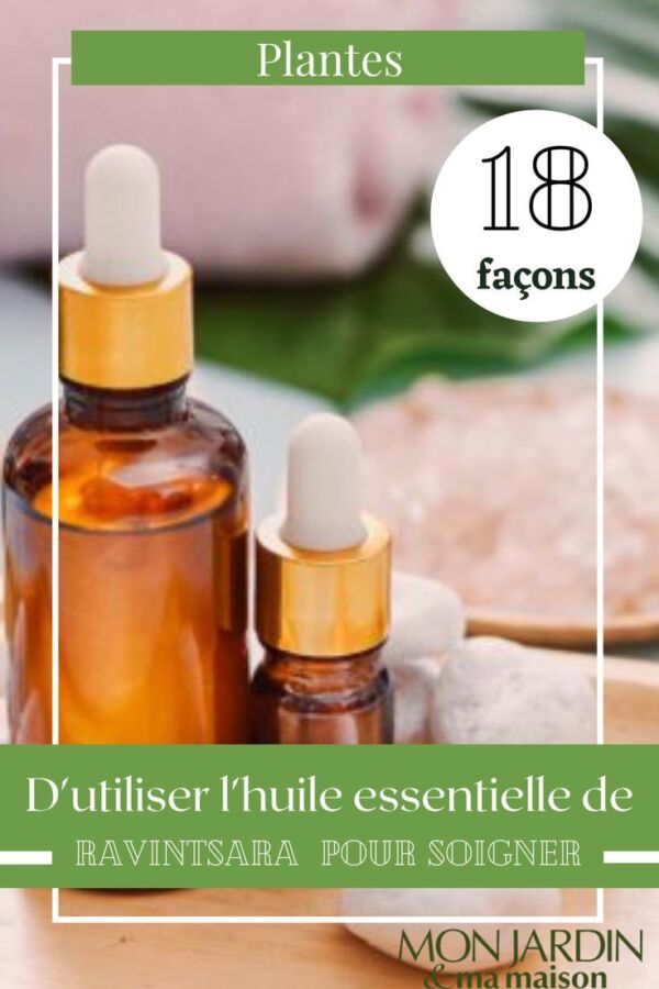 Propriétés huile essentielle ravintsara
