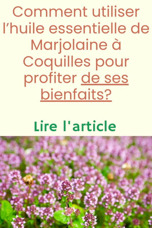 Propriétés marjolaine à coquille