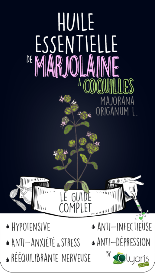 Marjolaine à coquille utilisation