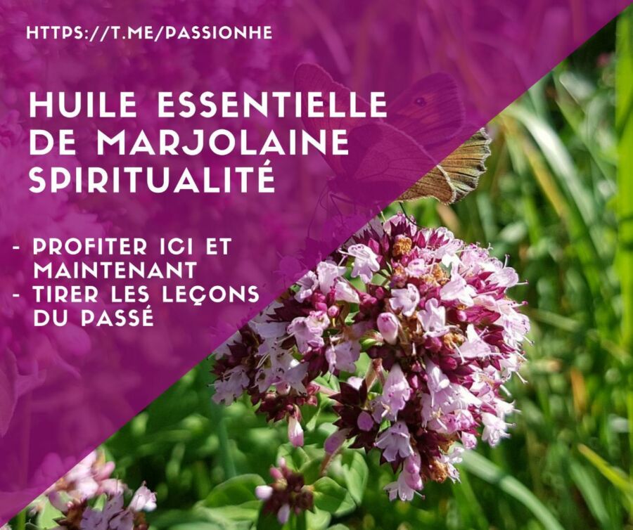 Utilisation huile essentielle marjolaine