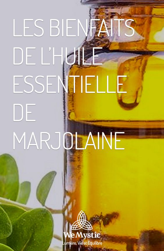 Marjolaine à coquille utilisation