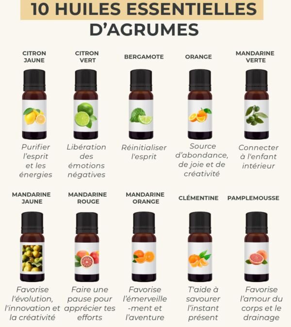 Huiles essentielles propriétés tableau : l&rsquo;essentiel en pratique