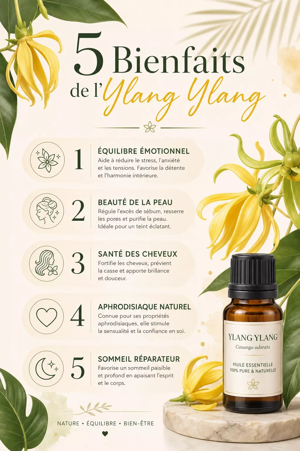 Propriétés des huiles essentielles