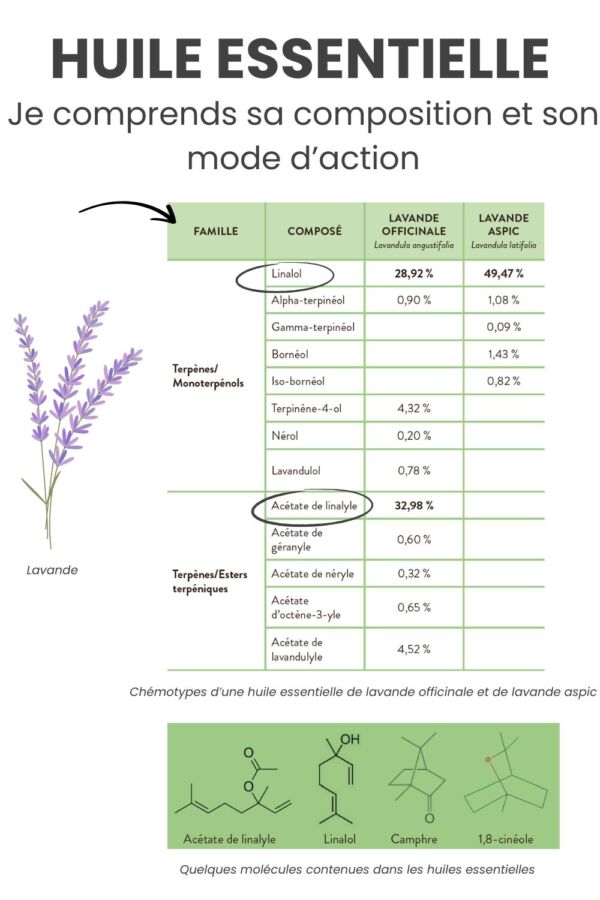 Tableau comparatif huiles essentielles
