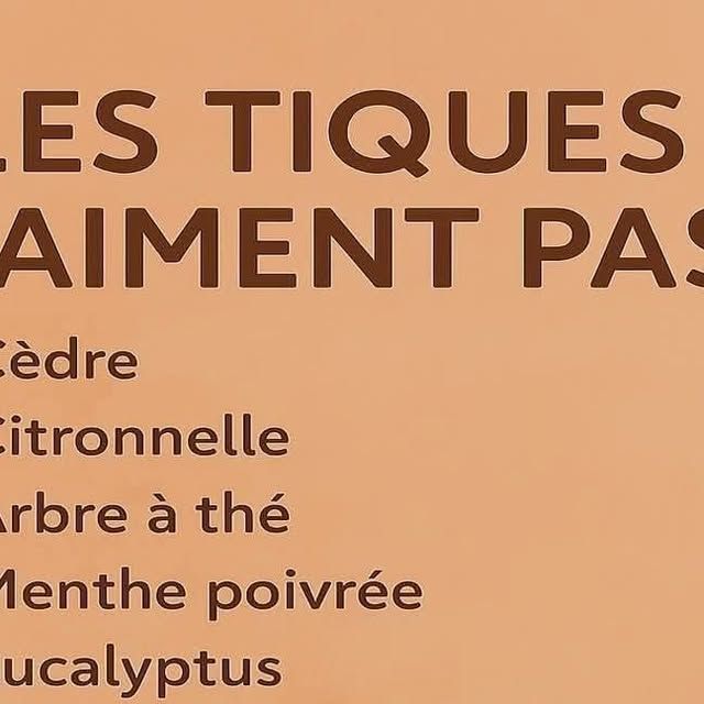 Risques santé huile cèdre