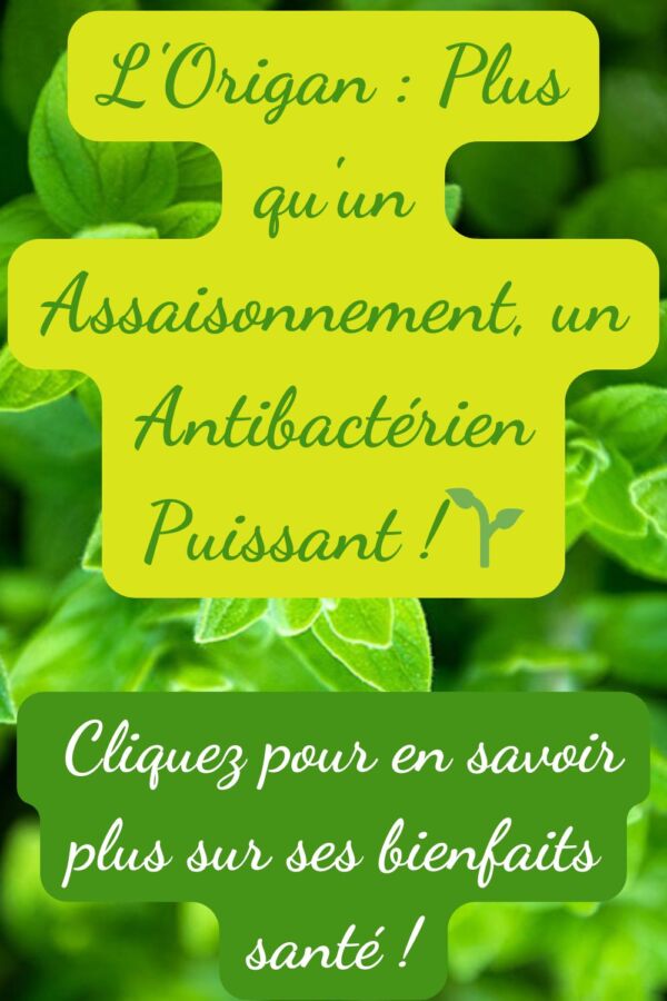Utilisation sécurisée huile origan