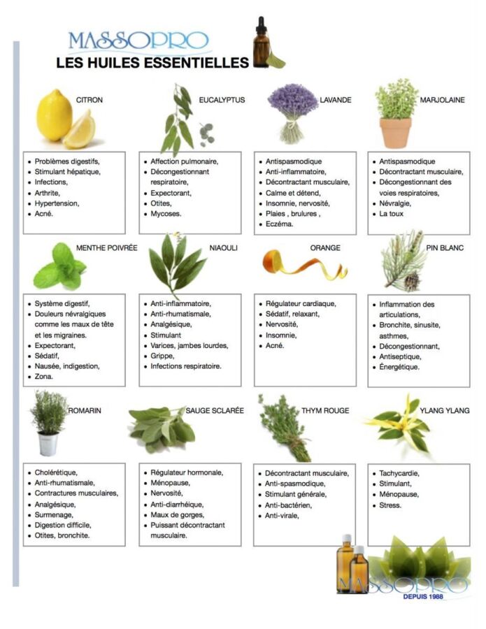 guide huiles essentielles PDF