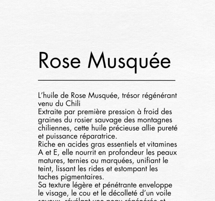 Huile de rose musquée danger : ce qu&rsquo;il faut savoir avant d&rsquo;en utiliser