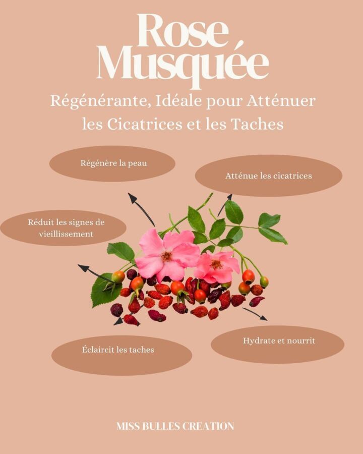 Effets secondaires rose musquée