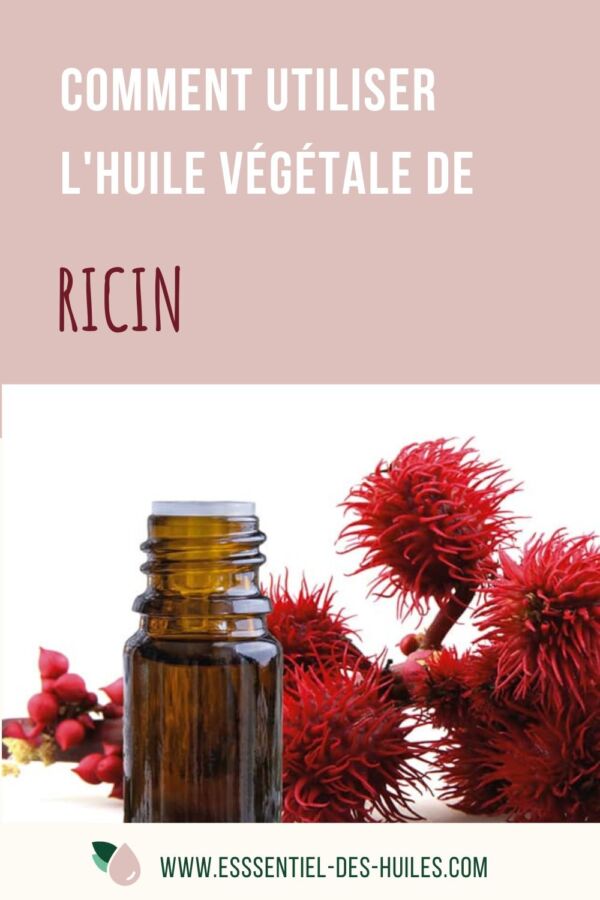 Bienfaits ricin cheveux