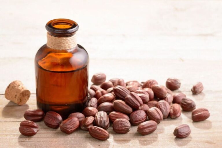 Huile de jojoba cheveux bienfaits : bien l&rsquo;utiliser sans se tromper