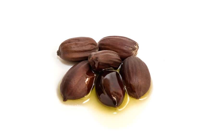 Utilisation huile jojoba cheveux