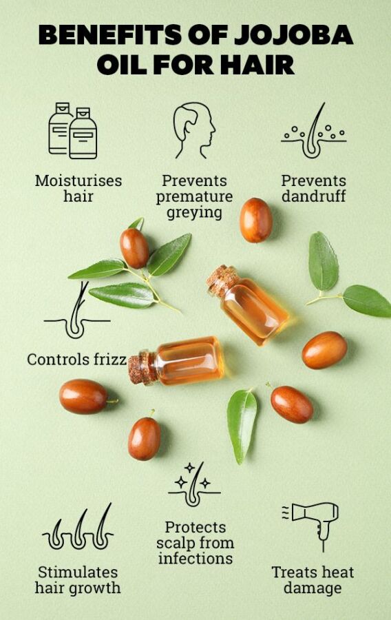 Utilisation huile jojoba cheveux