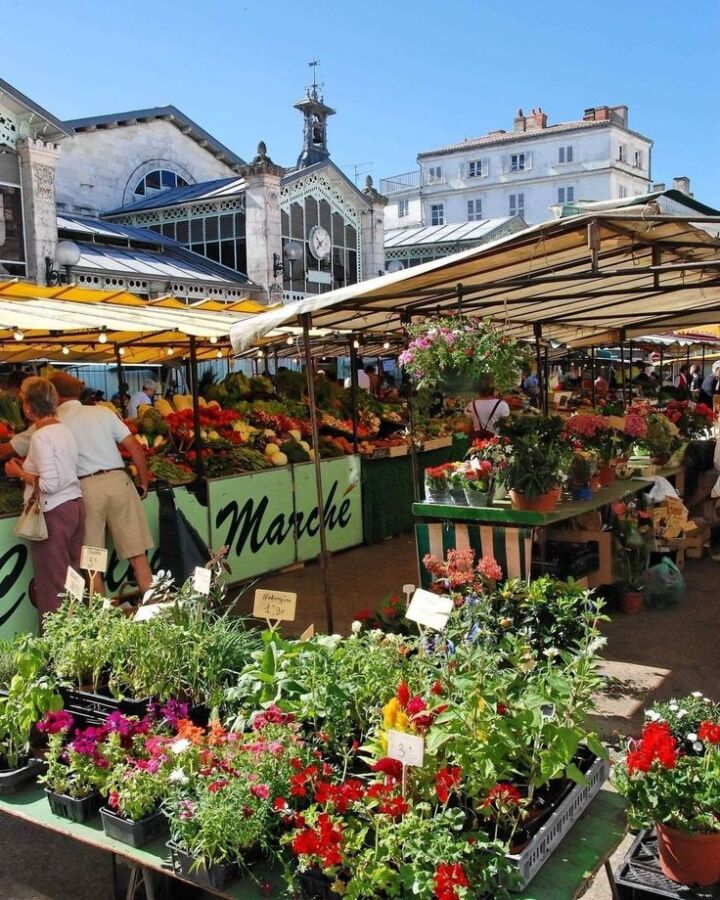 Produits frais magasins bio